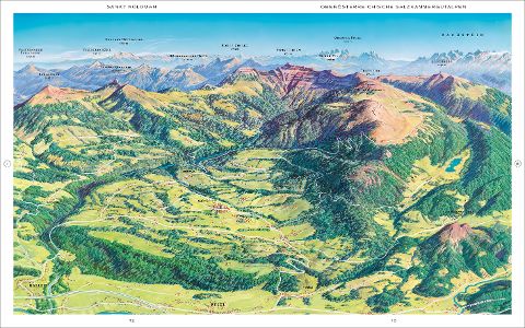 InsideView 1