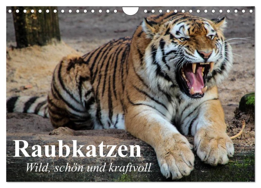 Raubkatzen. Wild, schön und kraftvoll (Wandkalender 2025 DIN A4 quer), CALVENDO Monatskalender - Elisabeth Stanzer