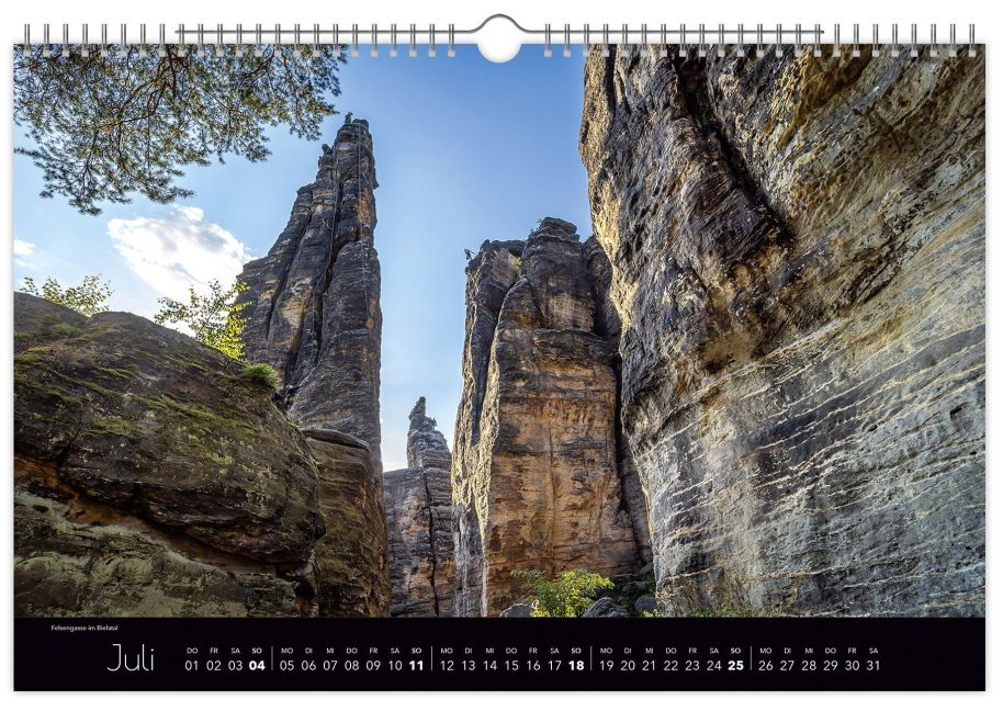 InsideView 7