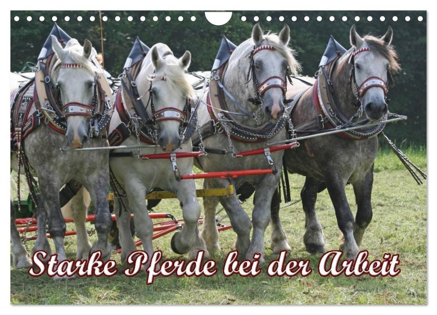 Starke Pferde bei der Arbeit (Wandkalender 2027 DIN A4 quer), CALVENDO Monatskalender - Antje Lindert-Rottke