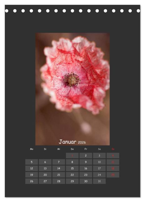 InsideView 6