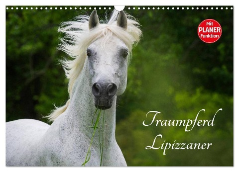 Traumpferd Lipizzaner (Wandkalender 2025 DIN A3 quer), CALVENDO Monatskalender - Sigrid Starick