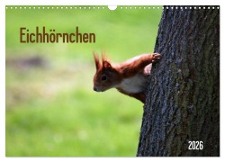 Cover-Bild zum Titel 'Eichhörnchen (Wandkalender 2026 DIN A3 quer), CALVENDO Monatskalender' von 'SchnelleWelten SchnelleWelten'