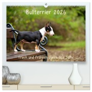 Cover-Bild zum Titel 'Bullterrier 2026 Frech und fröhlich durch das Jahr (hochwertiger Premium Wandkalender 2026 DIN A2 quer), Kunstdruck in Hochglanz' von 'Yvonne Janetzek'