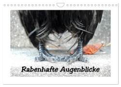 Rabenhafte Augenblicke (Wandkalender 2026 DIN A4 quer), CALVENDO Monatskalender - Meike Ajo. Dettlaff