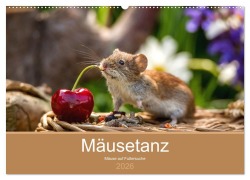 Mäusetanz (Wandkalender 2026 DIN A2 quer), CALVENDO Monatskalender - Linda Geisdorf Photography