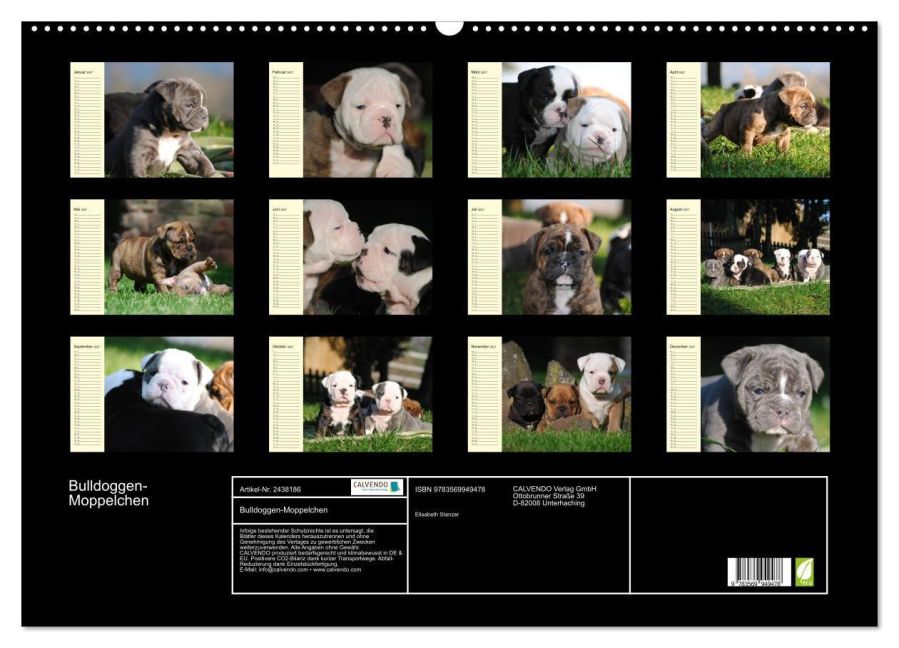 InsideView 5