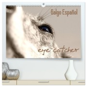 Cover-Bild zum Titel 'Galgo eye-catcher (hochwertiger Premium Wandkalender 2026 DIN A2 quer), Kunstdruck in Hochglanz' von 'Pfoten-Design Andrea Redecker'