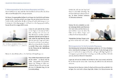 InsideView 2
