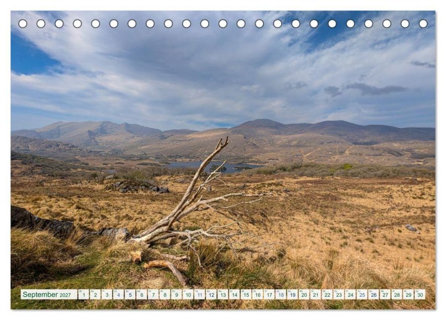 InsideView 14