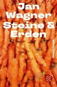 Cover-Bild zum Titel 'Steine & Erden' von 'Jan Wagner'