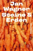 Cover-Bild zum Titel 'Steine & Erden' von 'Jan Wagner'
