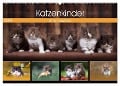 Katzenkinder - Britisch Kurzhaar (Wandkalender 2024 DIN A2 quer), CALVENDO Monatskalender - Wabi Sabi Fotografie by Janina Bürger