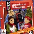 Die drei !!!: Advenstkalender - Geheimnisse zu Weihnachtszeit - Maja von Vogel