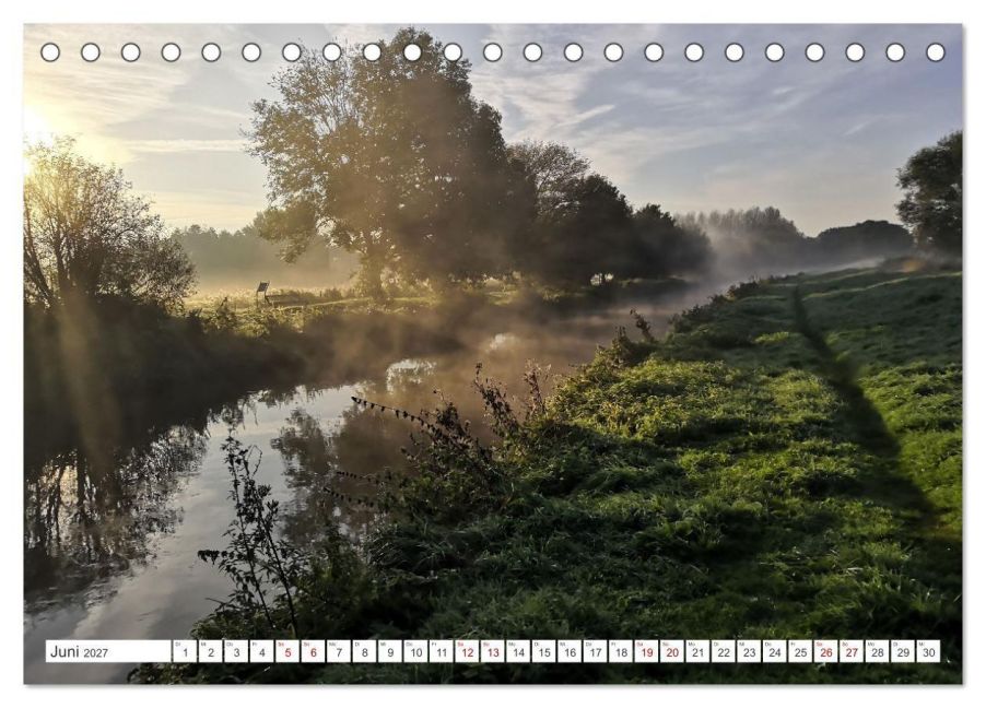 InsideView 11