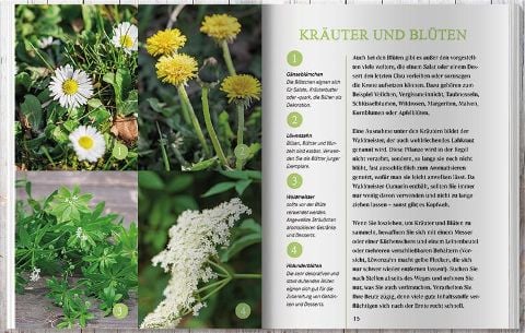 InsideView 12