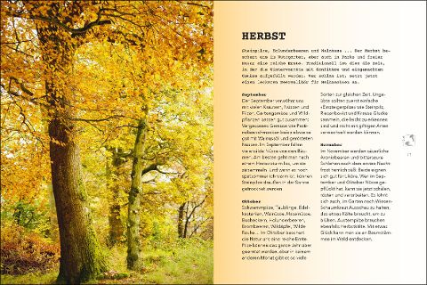 InsideView 2
