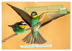 Faszination Wildlife (Wandkalender 2026 DIN A2 quer), CALVENDO Monatskalender - Frederic Bauer