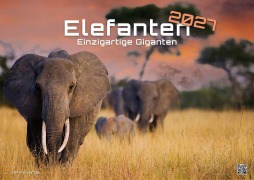 Cover-Bild zum Titel 'Elefanten - einzigartige Giganten - 2027 - Kalender DIN A3' von ''
