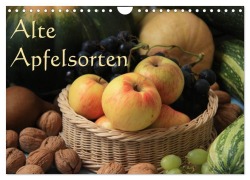 Cover-Bild zum Titel 'Alte Apfelsorten (Wandkalender 2027 DIN A4 quer), CALVENDO Monatskalender' von 'Geotop Bildarchiv/I. Gebhard'