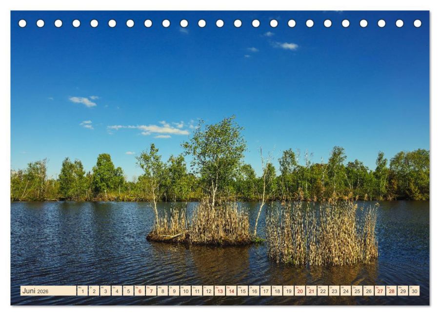 InsideView 11