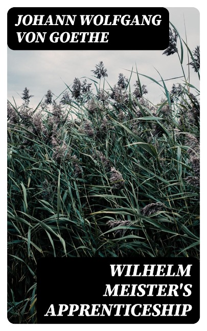 Wilhelm Meister's Apprenticeship - Johann Wolfgang von Goethe