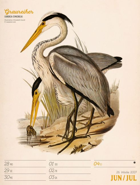 InsideView 30