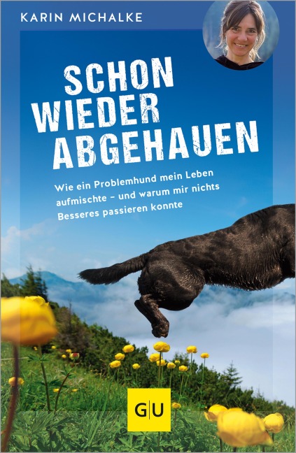 Schon wieder abgehauen - Karin Michalke