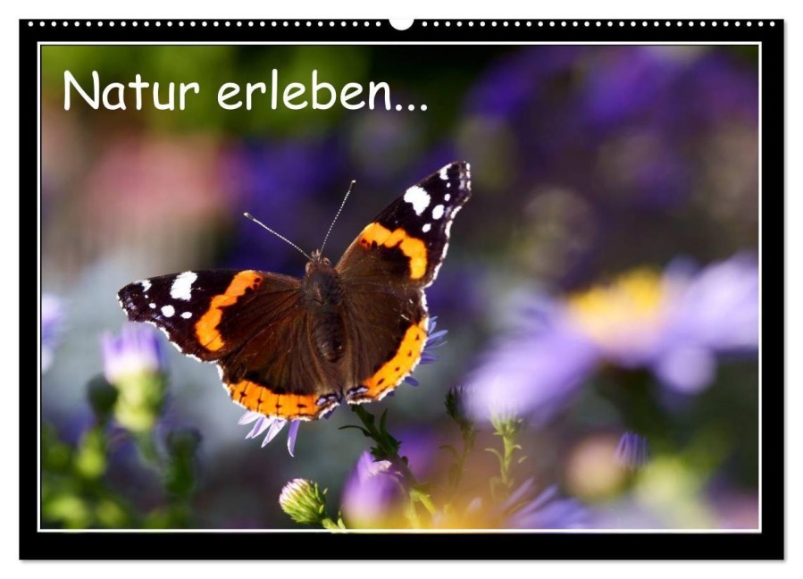 Natur erleben... (Wandkalender 2027 DIN A2 quer), CALVENDO Monatskalender - Robert Angermayr