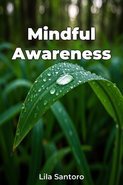 Mindful Awareness - Lila Santoro