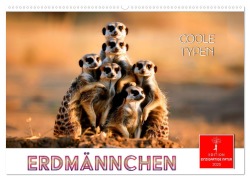 Erdmännchen - coole Typen (Wandkalender 2025 DIN A2 quer), CALVENDO Monatskalender - Peter Roder