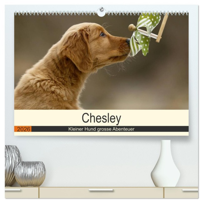 Chesley Kleiner Hund grosse Abenteuer (hochwertiger Premium Wandkalender 2026 DIN A2 quer), Kunstdruck in Hochglanz - Hundefotografie Bea Müller