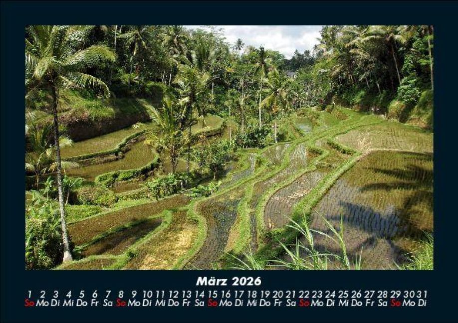InsideView 7
