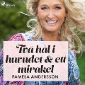 Cover-Bild zum Titel 'Två hål i huvudet och ett mirakel' von 'Pamela Andersson'