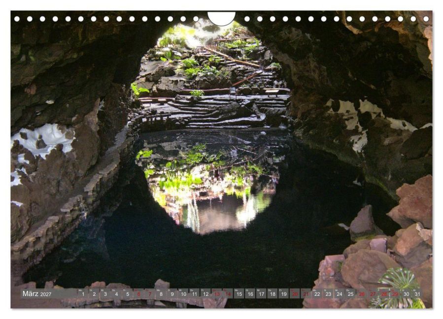 InsideView 8