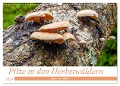 Pilze in den Herbstwäldern (Wandkalender 2024 DIN A3 quer), CALVENDO Monatskalender - Alain Gaymard