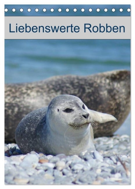 Liebenswerte Robben (Tischkalender 2026 DIN A5 hoch), CALVENDO Monatskalender - Kattobello Kattobello