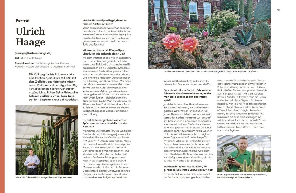 InsideView 6