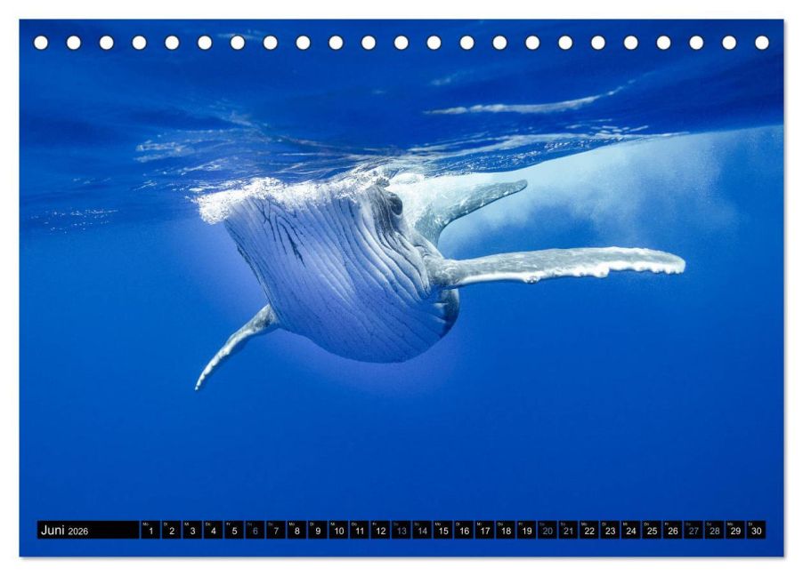 InsideView 11