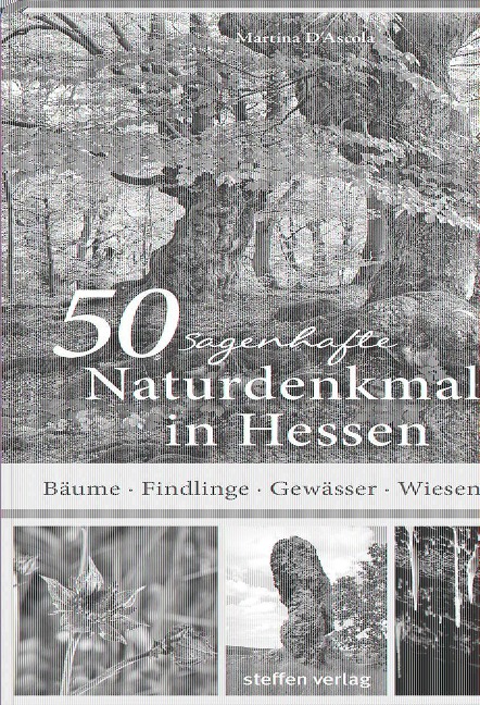 50 sagenhafte Naturdenkmale in Hessen - Martina D'Ascola
