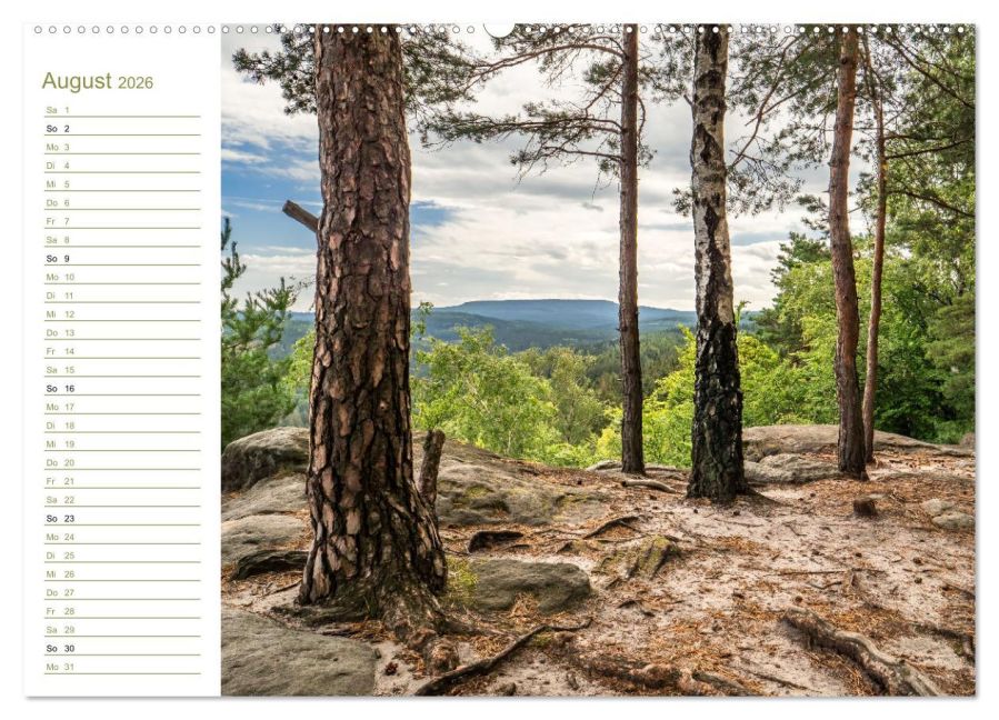 InsideView 13