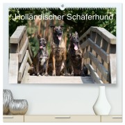 Cover-Bild zum Titel 'Holländischer Schäferhund (hochwertiger Premium Wandkalender 2026 DIN A2 quer), Kunstdruck in Hochglanz' von 'Fotodesign Verena Scholze'