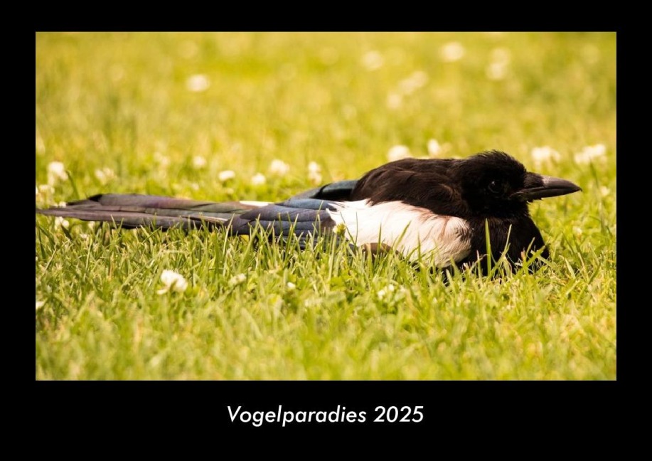 Vogelparadies 2025 Fotokalender DIN A3 - Tobias Becker