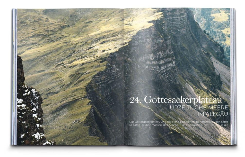 InsideView 6