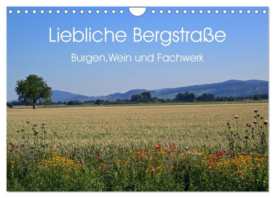 Liebliche Bergstraße - Burgen, Wein und Fachwerk (Wandkalender 2027 DIN A4 quer), CALVENDO Monatskalender - Ilona Andersen