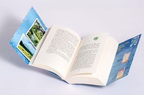 InsideView 5