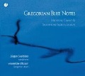Cover-Bild zum Titel 'Gregorian Blue Notes:Medieval Chant & Saxophone Im' von 'Jürgen Seefelderensemble officium'