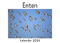 Cover-Bild zum Titel 'Enten (Wandkalender 2024, Kalender DIN A4 quer, Monatskalender im Querformat mit Kalendarium, Das perfekte Geschenk)' von 'Anna Müller'