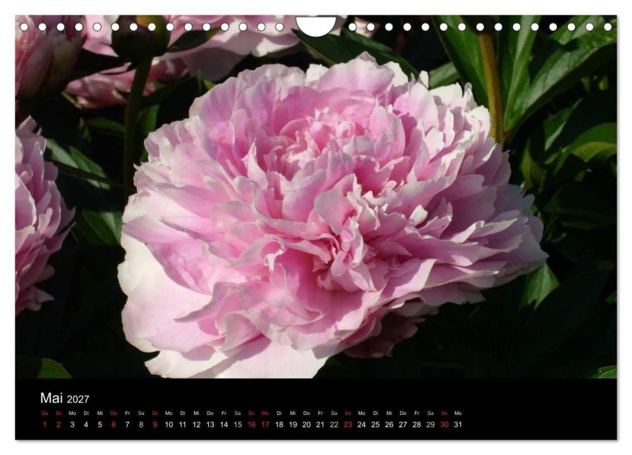 InsideView 10