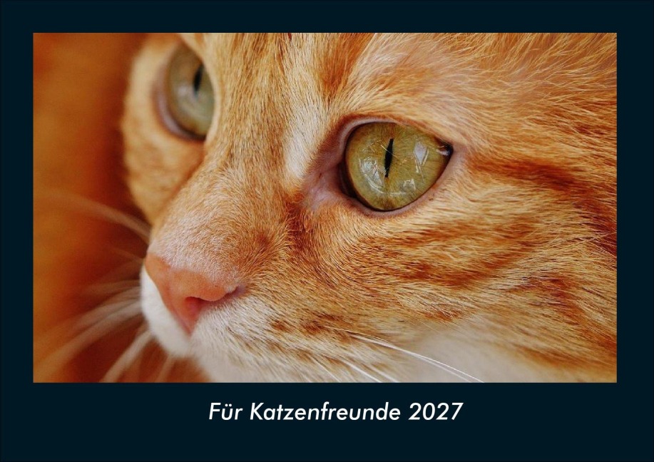 Für Katzenfreunde 2027 Fotokalender DIN A4 - Tobias Schmitt, Kevin Heber